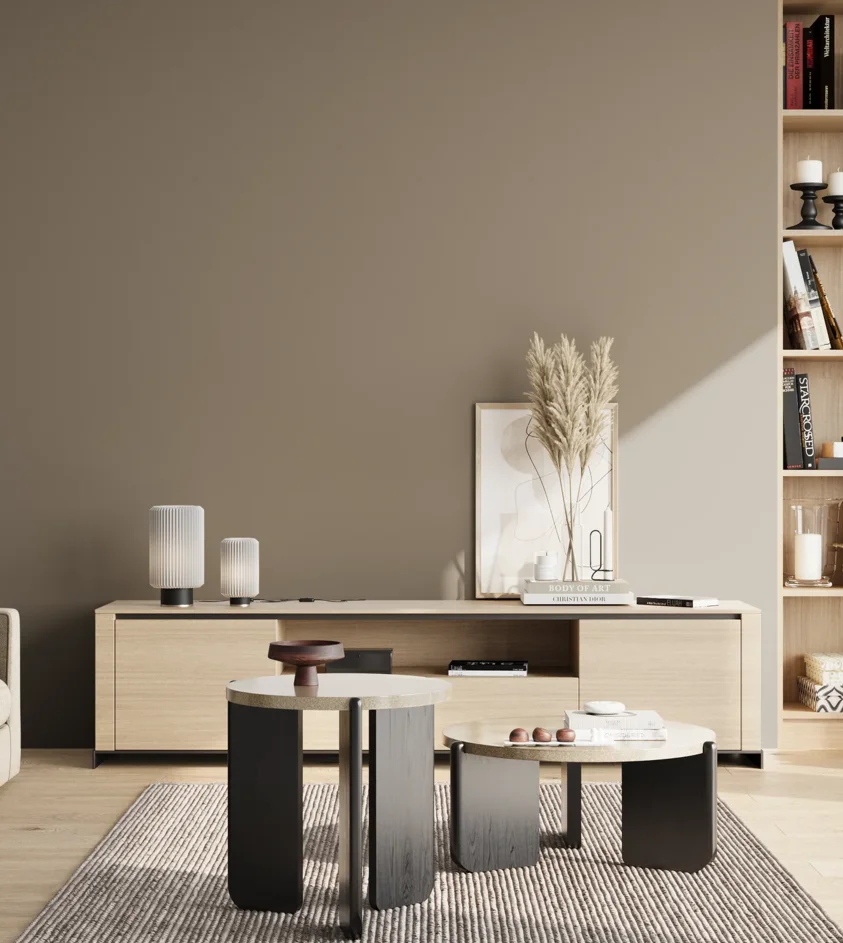 P10_SNIEZKA_salon_02_poludnie_GREY_S5005-Y20R