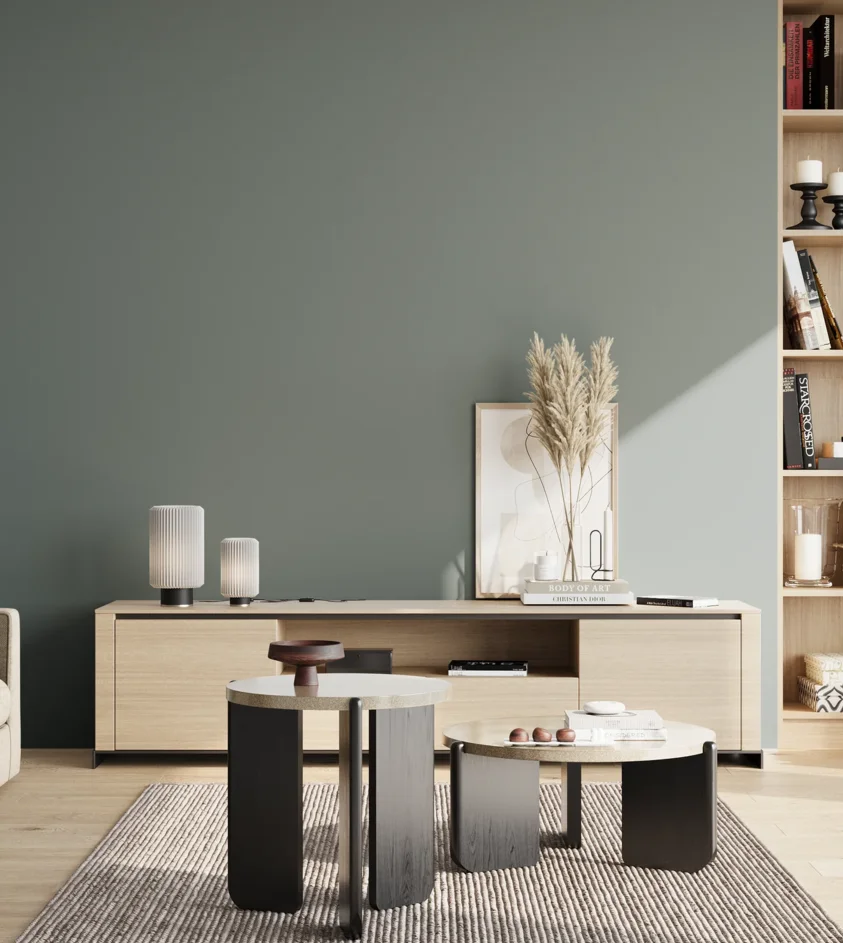P10_SNIEZKA_salon_02_poludnie_GREY_S5010-B50G