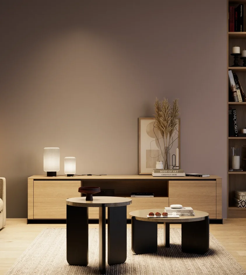 P10_SNIEZKA_salon_04_cieple_GREY_S5010-R10B