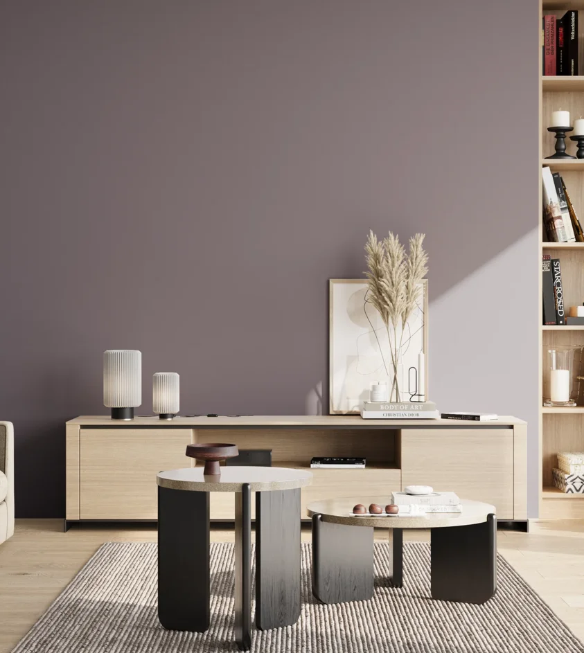 P10_SNIEZKA_salon_02_poludnie_GREY_S5010-R50B