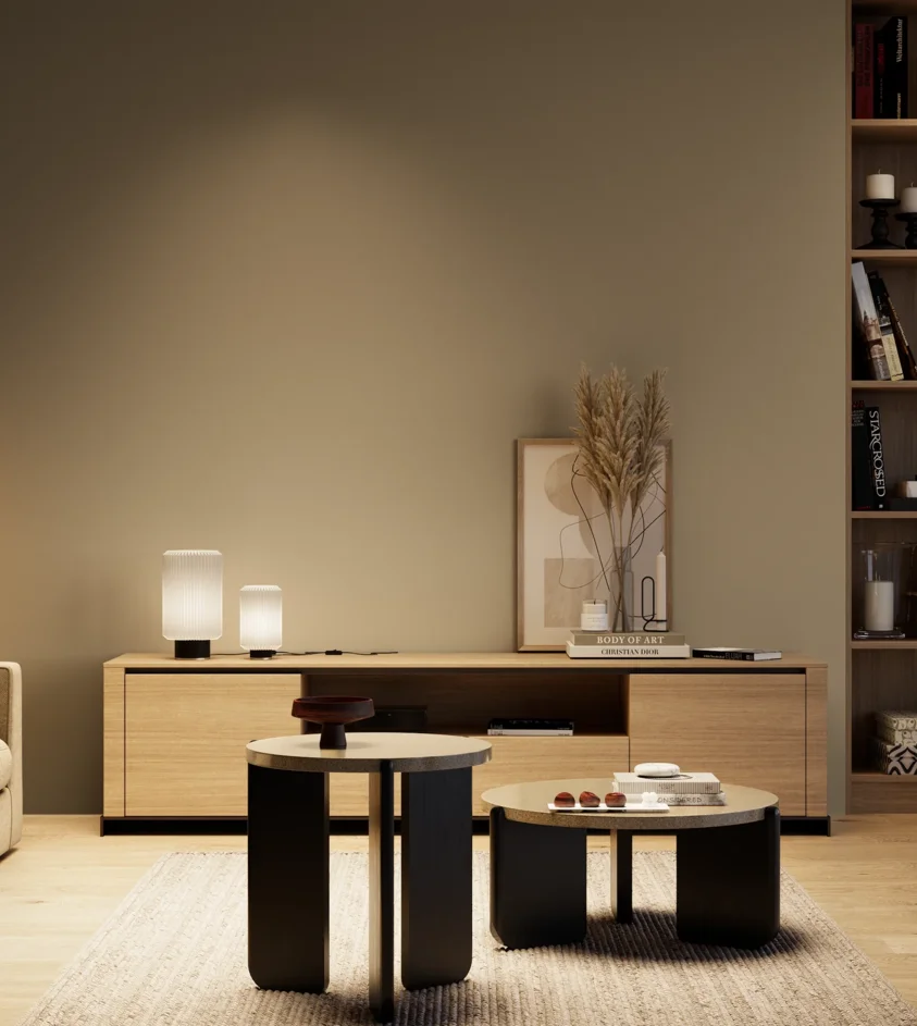 P10_SNIEZKA_salon_04_cieple_GREY_S5010-Y10R