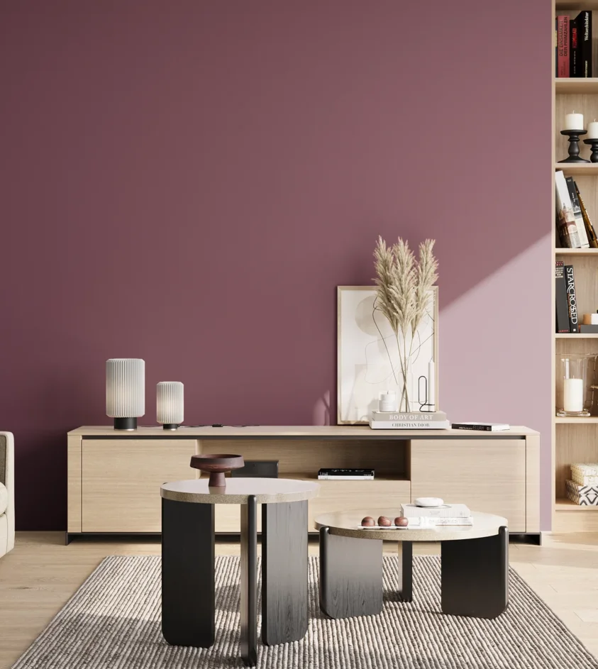 P10_SNIEZKA_salon_02_poludnie_GREY_S5030-R30B