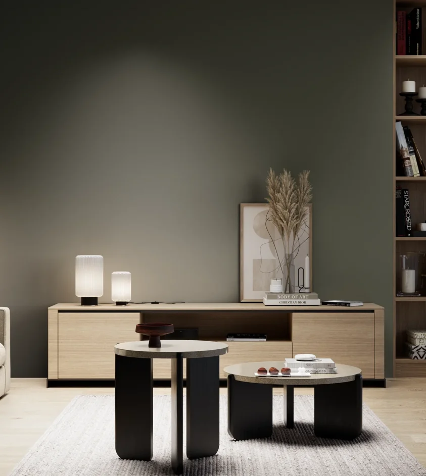 P10_SNIEZKA_salon_05_zimne_GREY_S8010-G50Y
