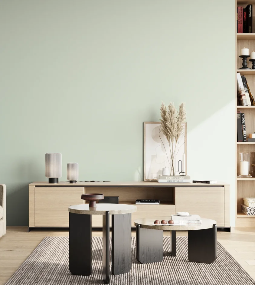 P10_SNIEZKA_salon_02_poludnie_GREY_S0507-G
