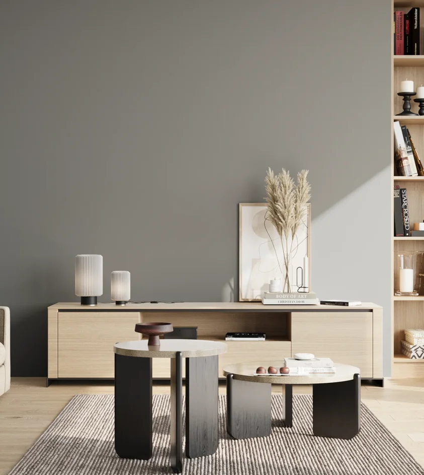 P10_SNIEZKA_salon_02_poludnie_GREY_S4502-B50G