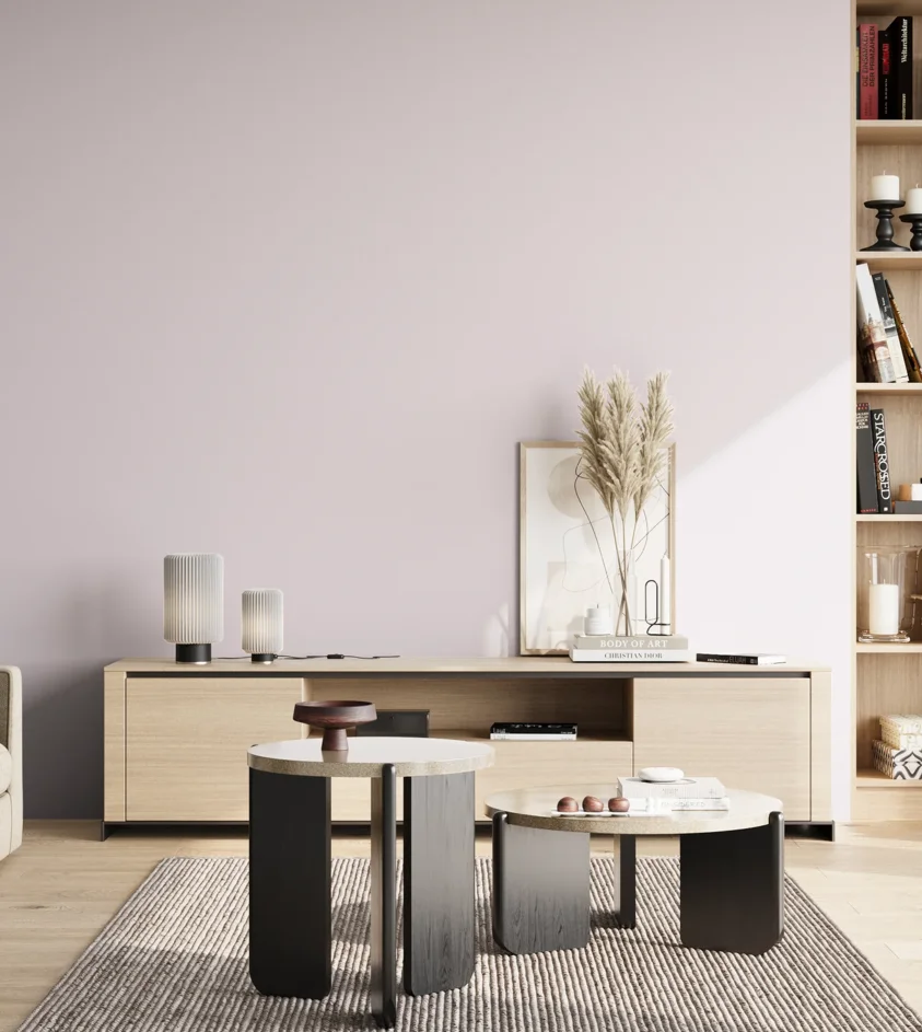 P10_SNIEZKA_salon_02_poludnie_GREY_S0507-R40B