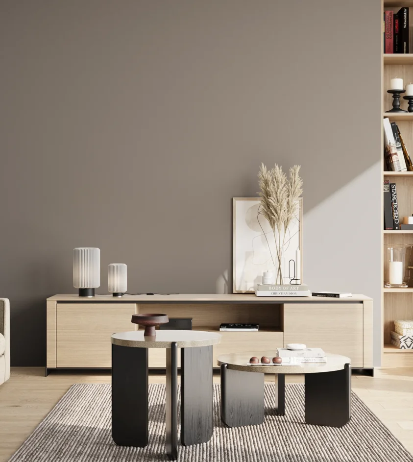 P10_SNIEZKA_salon_02_poludnie_GREY_S4502-Y80R