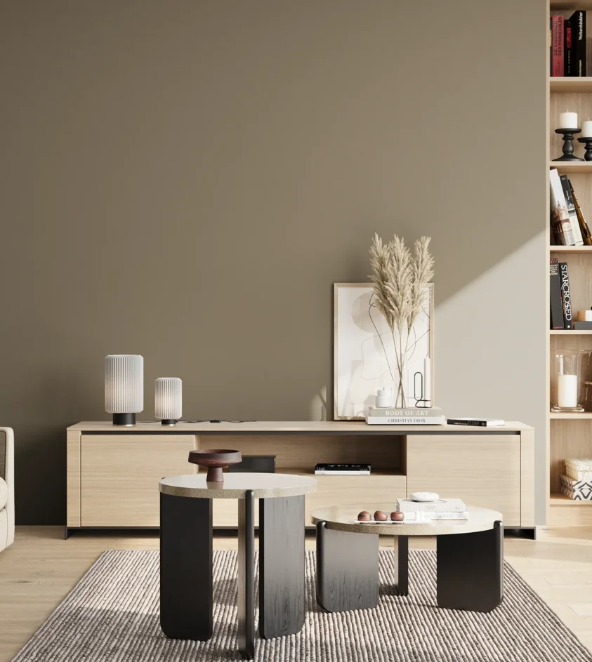 P10_SNIEZKA_salon_02_poludnie_GREY_S5005-Y