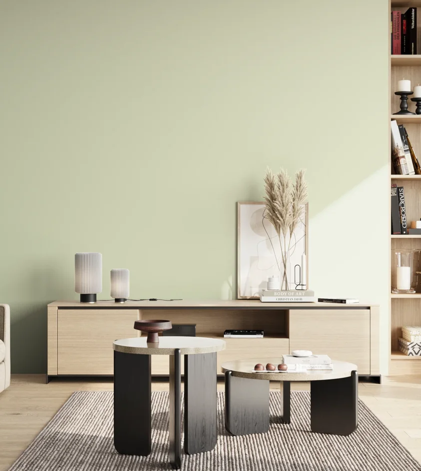 P10_SNIEZKA_salon_02_poludnie_GREY_S0510-G50Y