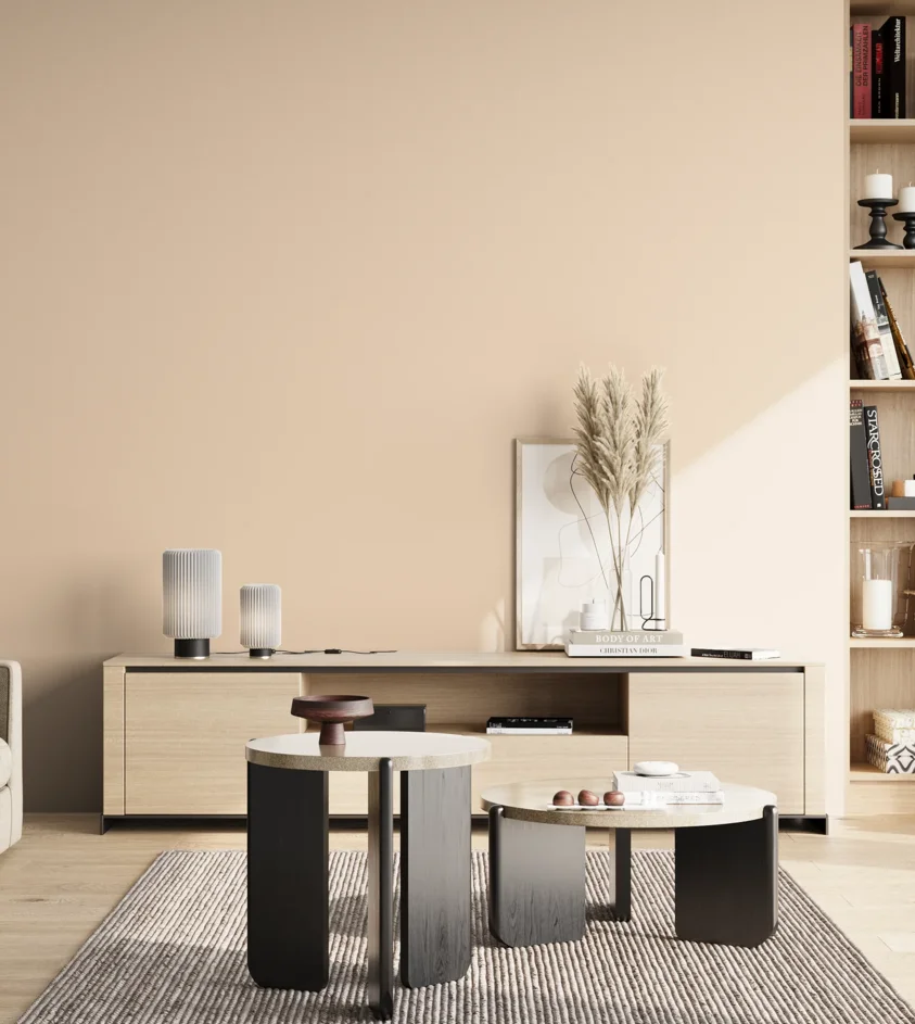 P10_SNIEZKA_salon_02_poludnie_GREY_S0510-Y50R