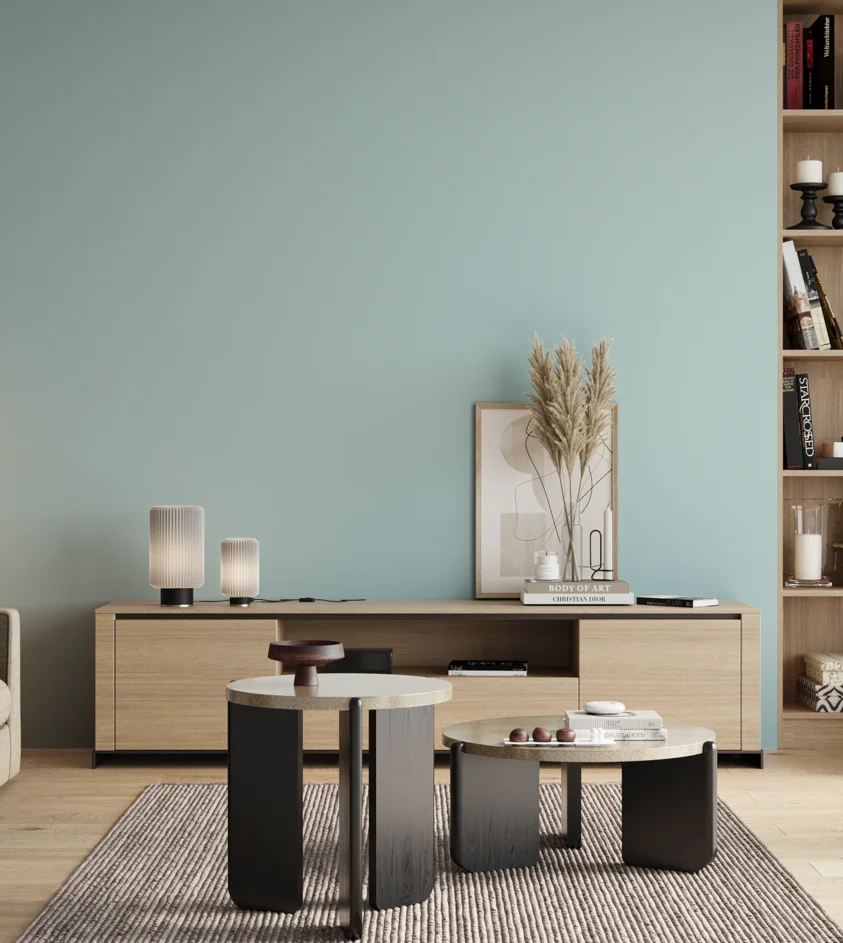 P10_SNIEZKA_salon_00_neutral_GREY_S0515-B20G