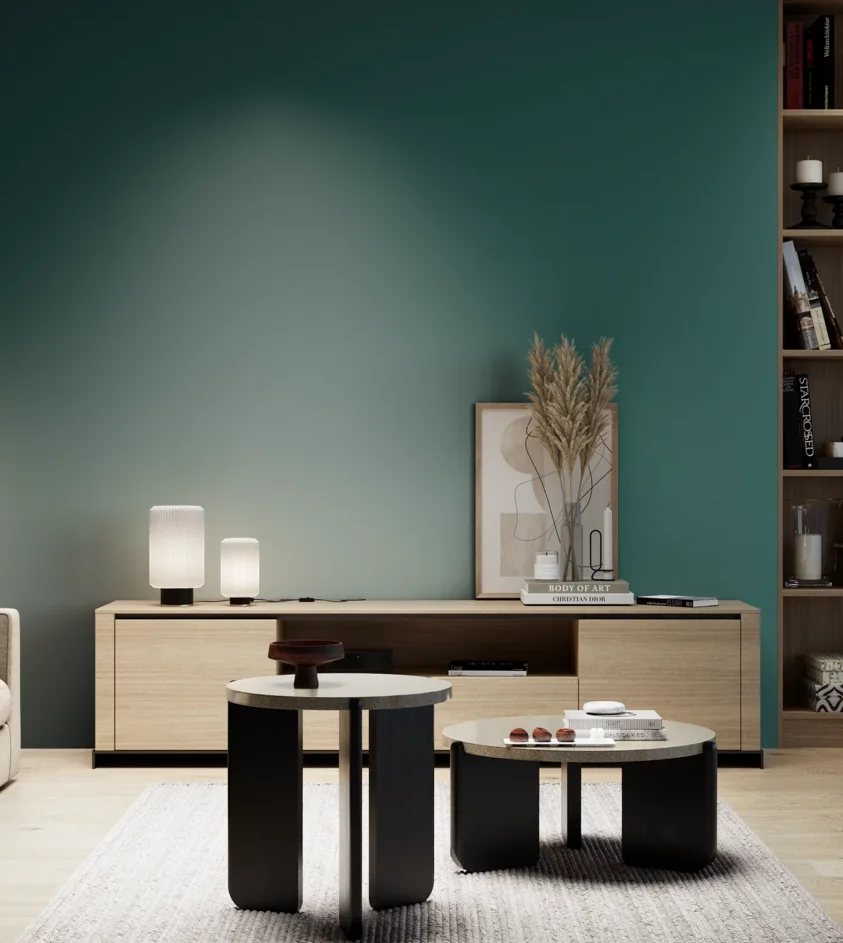 P10_SNIEZKA_salon_05_zimne_GREY_C73