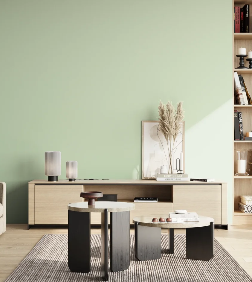 P10_SNIEZKA_salon_02_poludnie_GREY_S0515-G20Y