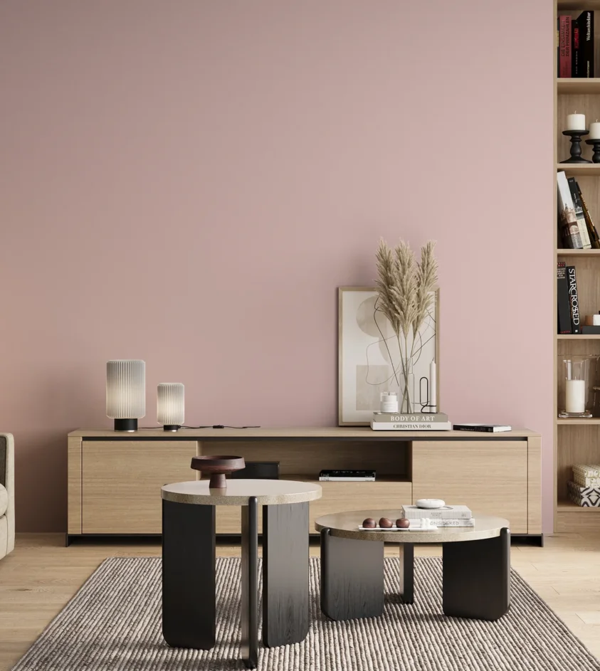 P10_SNIEZKA_salon_00_neutral_GREY_S0515-R10B