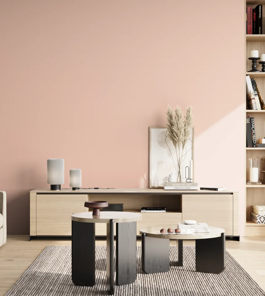 P10_SNIEZKA_salon_02_poludnie_GREY_S0515-Y80R