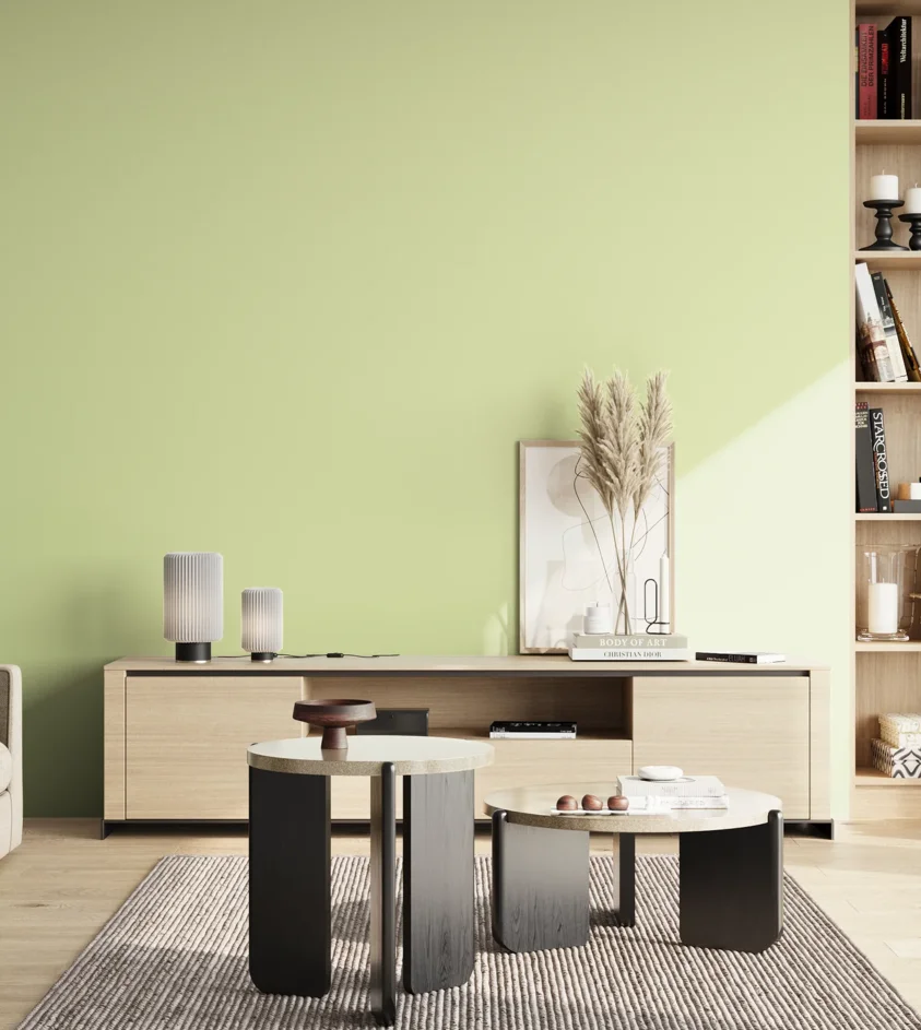 P10_SNIEZKA_salon_02_poludnie_GREY_S0520-G50Y