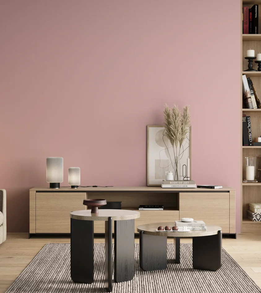 P10_SNIEZKA_salon_00_neutral_GREY_S0520-R10B