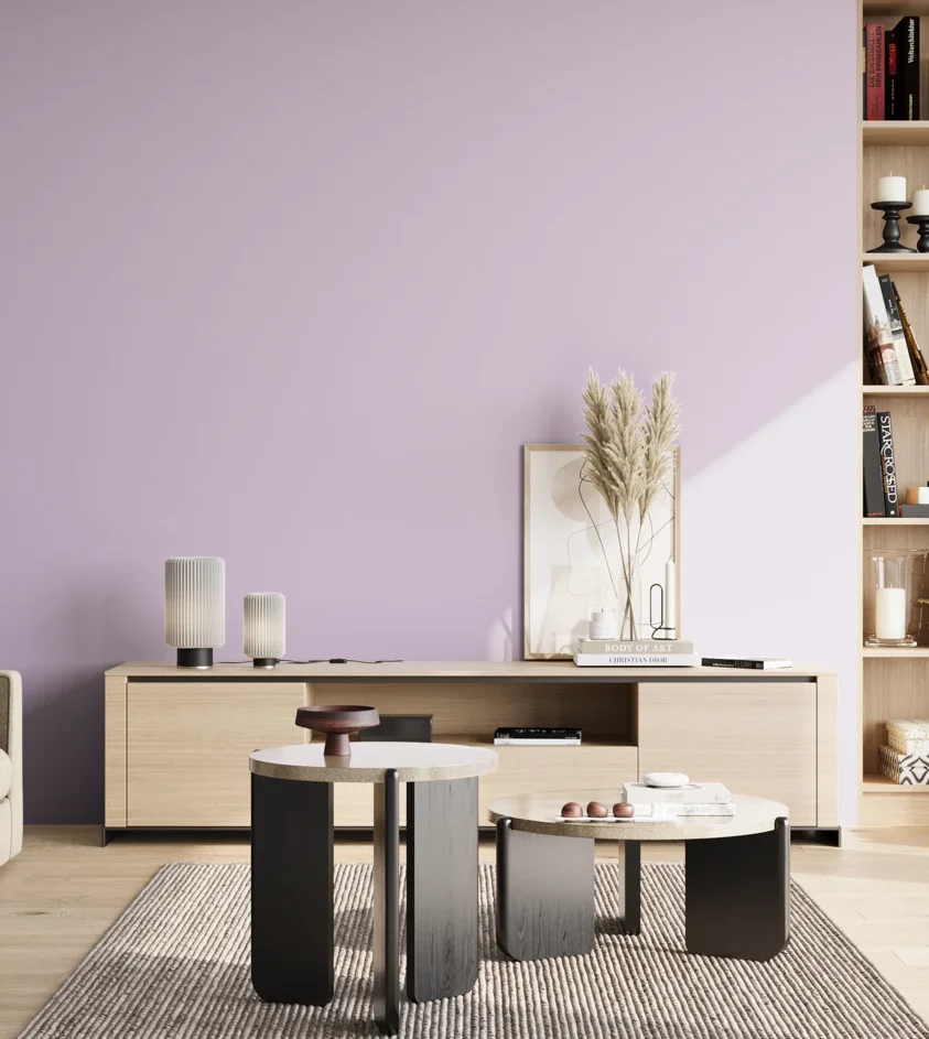P10_SNIEZKA_salon_02_poludnie_GREY_S0520-R50B