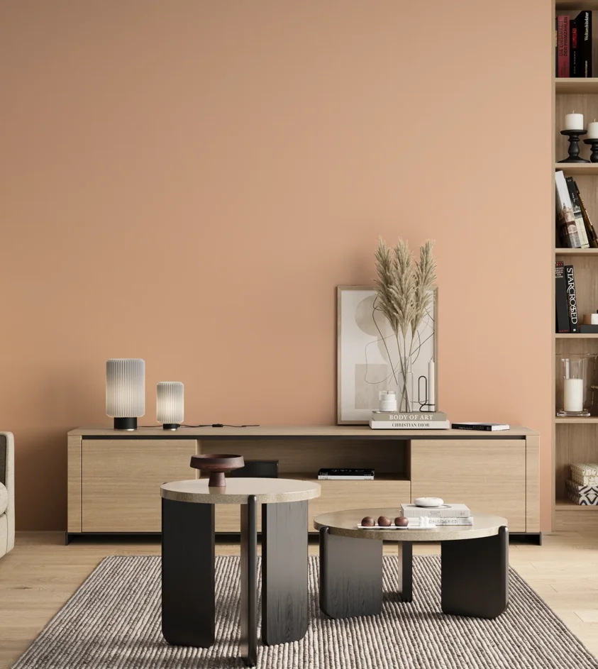 P10_SNIEZKA_salon_00_neutral_GREY_S0520-Y60R