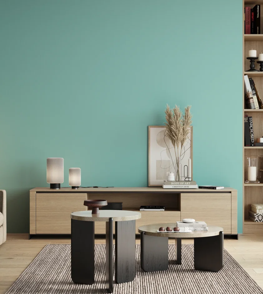 P10_SNIEZKA_salon_00_neutral_GREY_S0530-B50G
