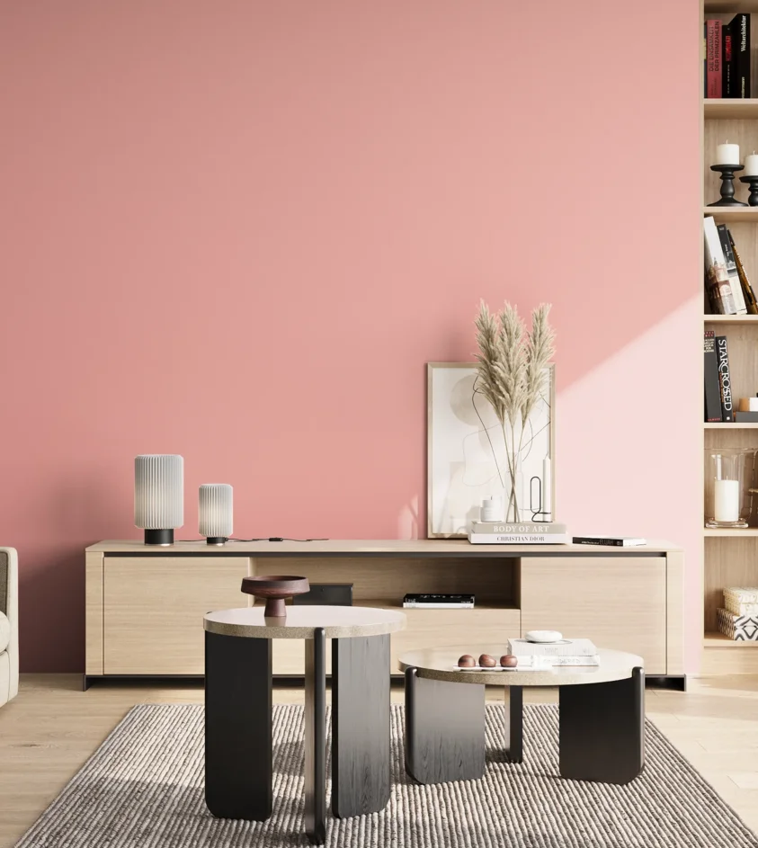 P10_SNIEZKA_salon_02_poludnie_GREY_S0530-R