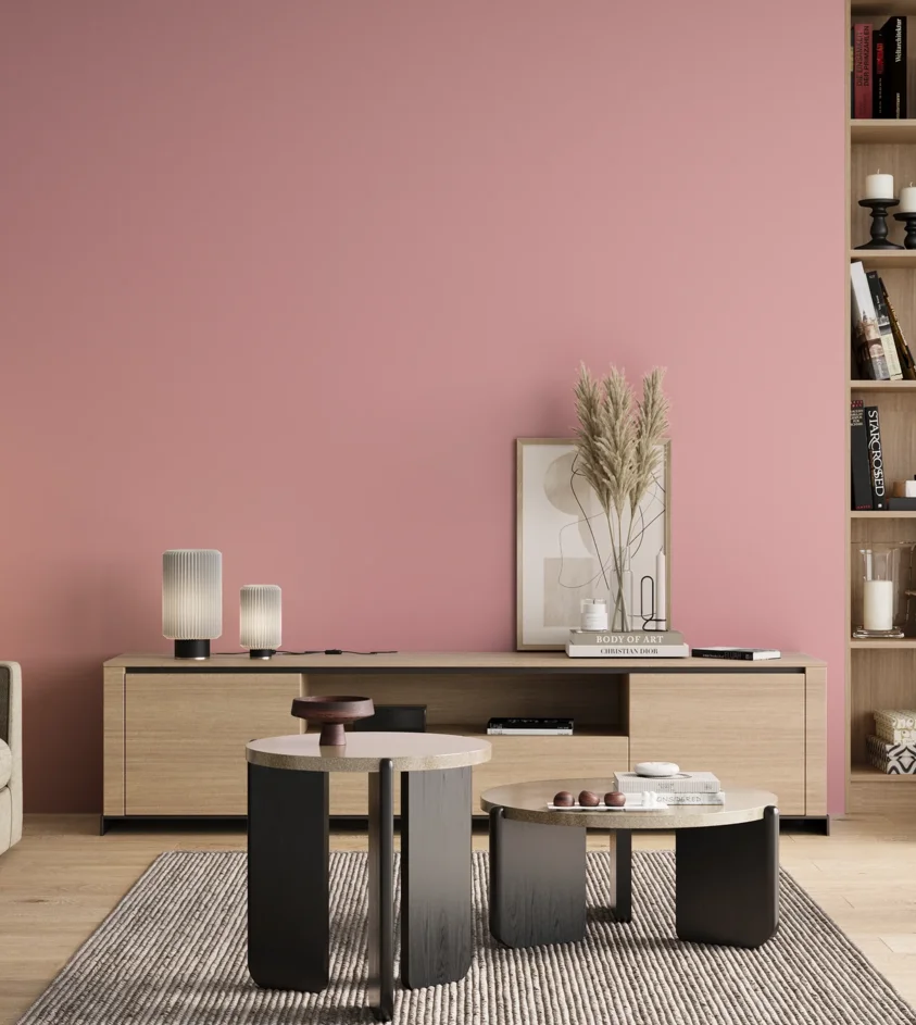 P10_SNIEZKA_salon_00_neutral_GREY_S0530-R10B