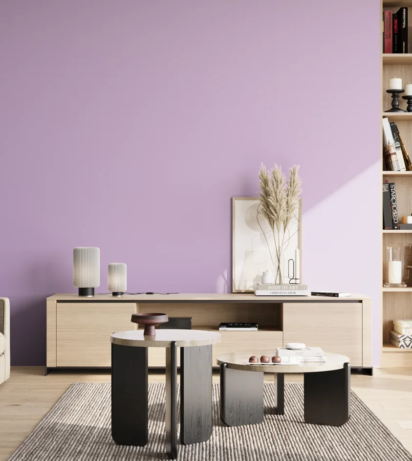 P10_SNIEZKA_salon_02_poludnie_GREY_S0530-R50B
