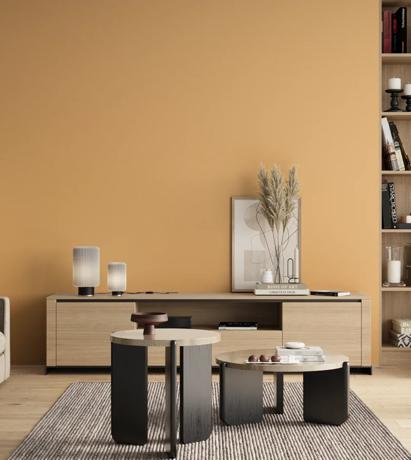 P10_SNIEZKA_salon_00_neutral_GREY_S0530-Y30R