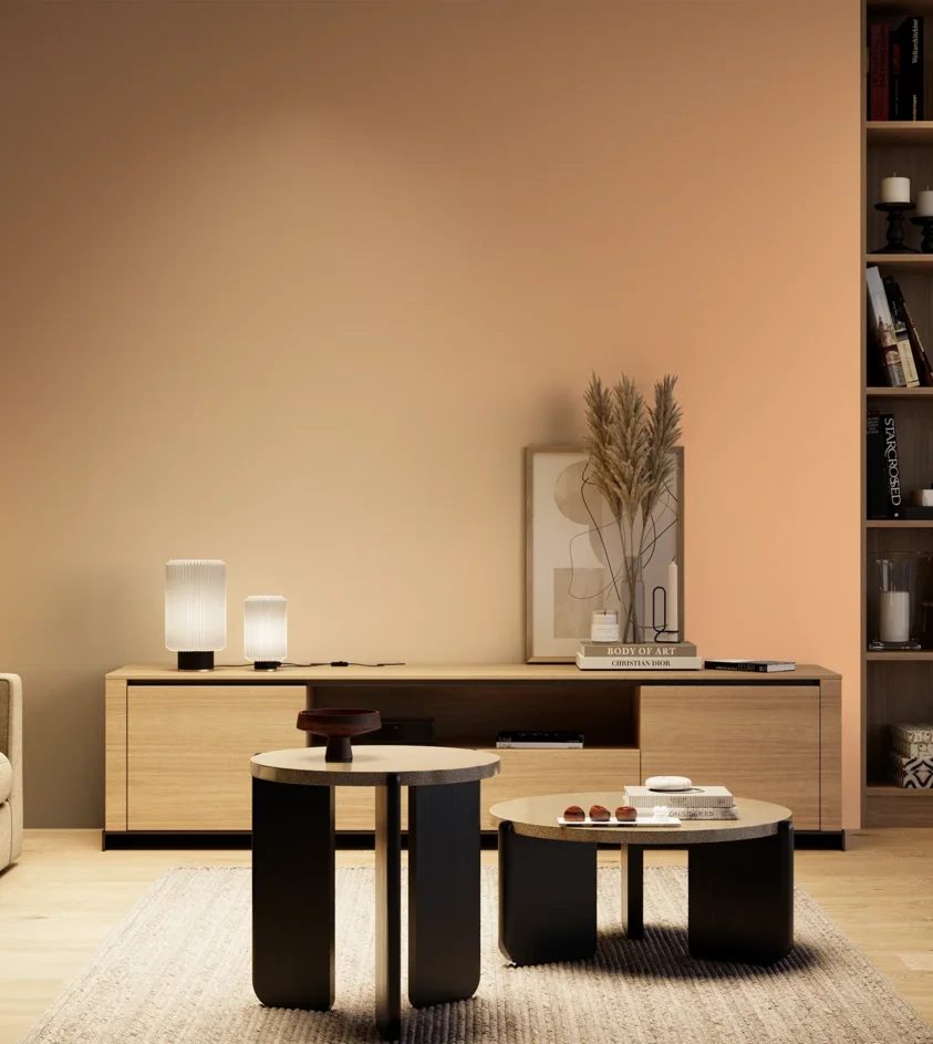P10_SNIEZKA_salon_04_cieple_GREY_S0530-Y50R