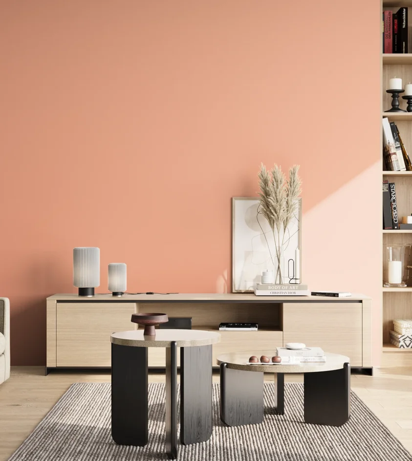 P10_SNIEZKA_salon_02_poludnie_GREY_S0530-Y70R