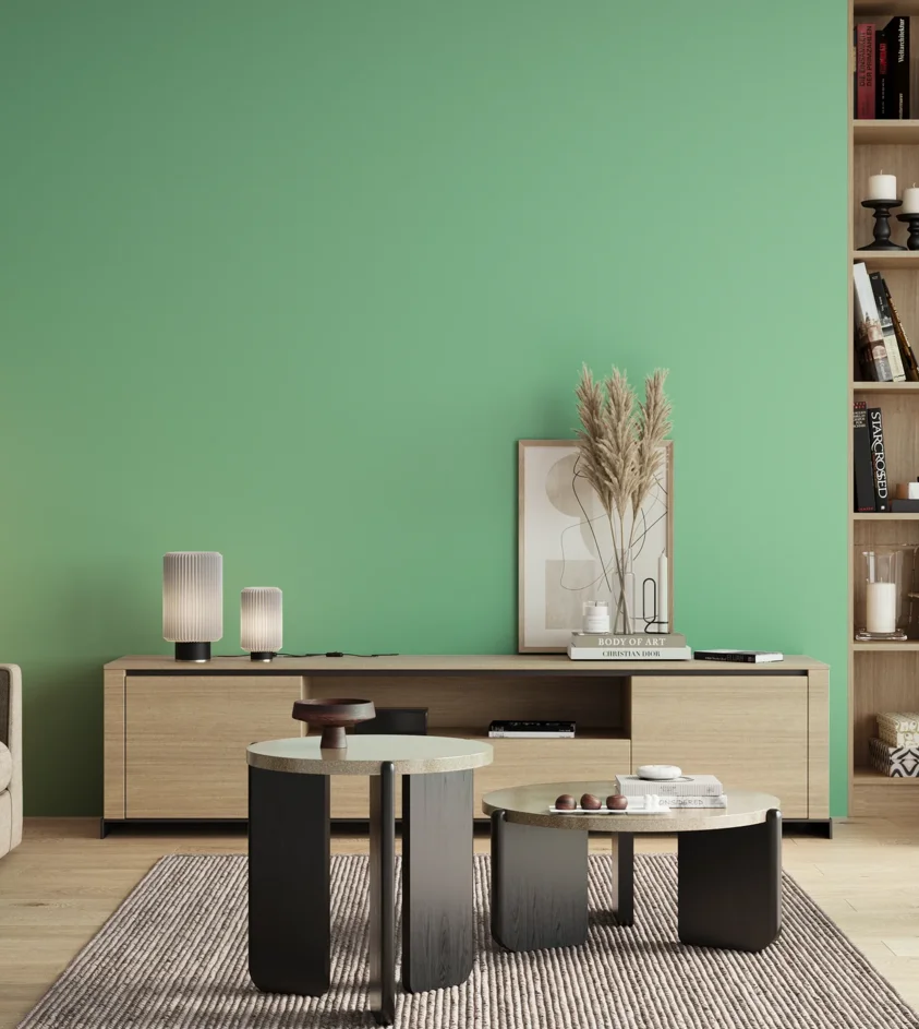 P10_SNIEZKA_salon_00_neutral_GREY_S0540-G