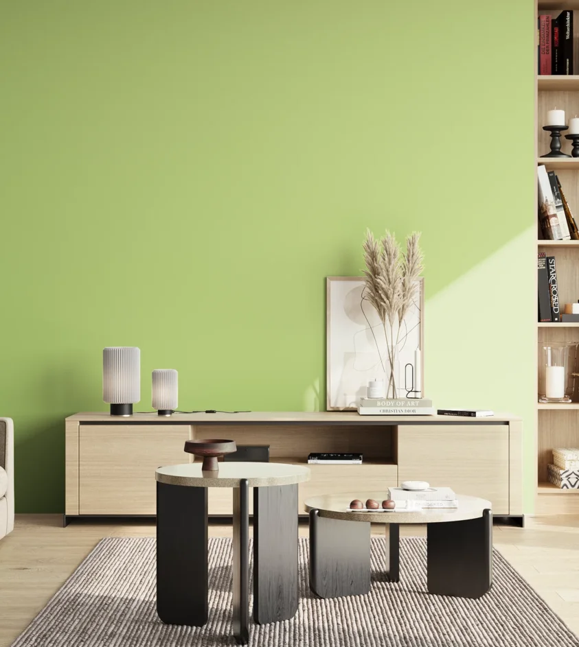 P10_SNIEZKA_salon_02_poludnie_GREY_S0540-G40Y