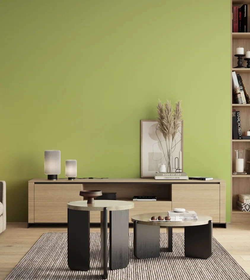 P10_SNIEZKA_salon_00_neutral_GREY_S0540-G50Y
