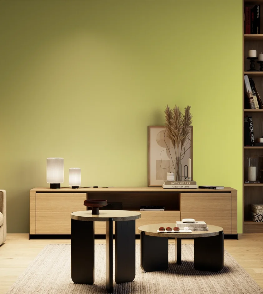 P10_SNIEZKA_salon_04_cieple_GREY_S0540-G70Y