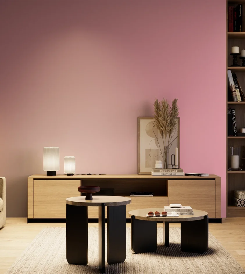 P10_SNIEZKA_salon_04_cieple_GREY_S0540-R20B