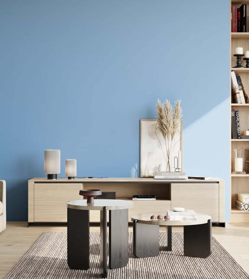 P10_SNIEZKA_salon_02_poludnie_GREY_S0540-R90B