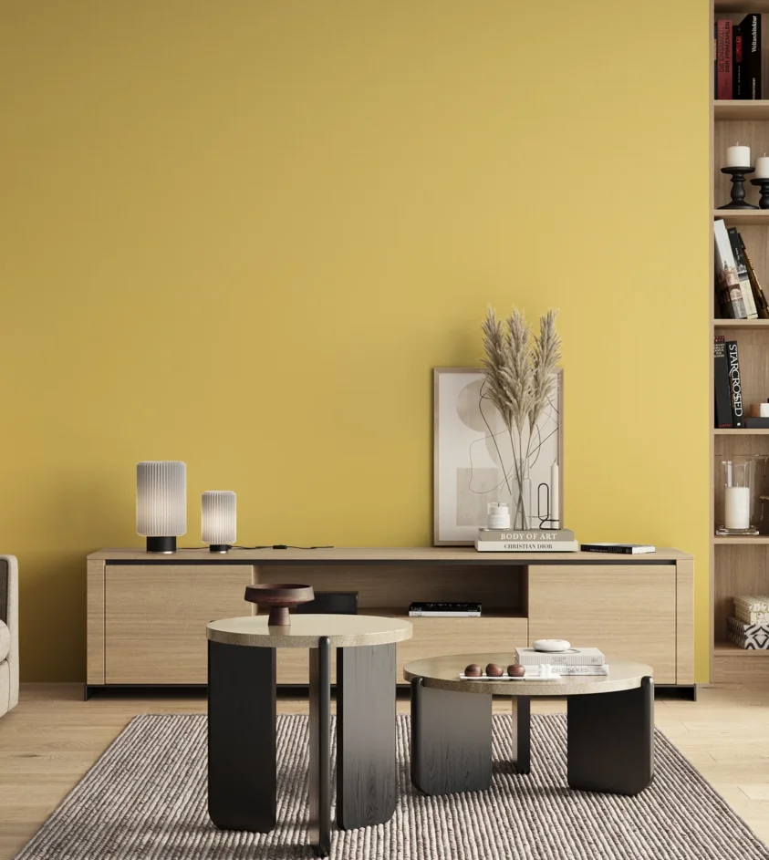 P10_SNIEZKA_salon_00_neutral_GREY_S0540-Y