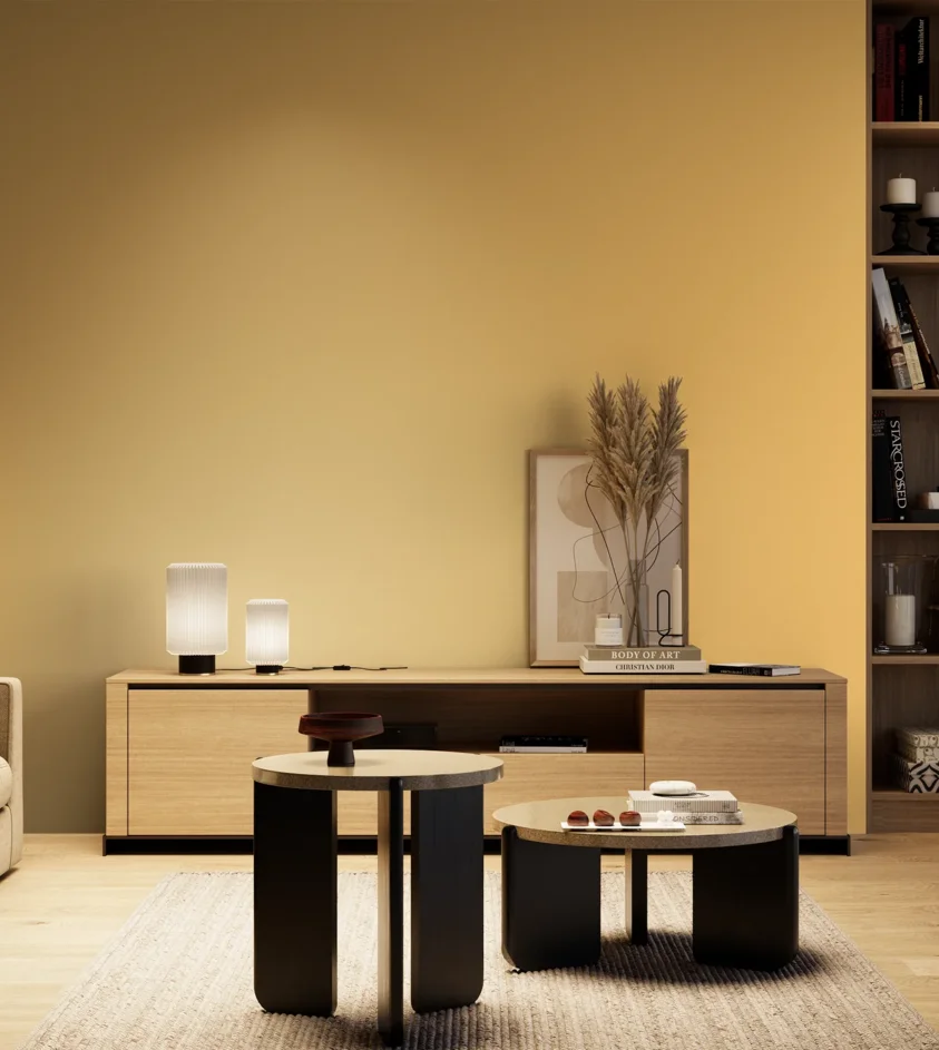 P10_SNIEZKA_salon_04_cieple_GREY_S0540-Y20R