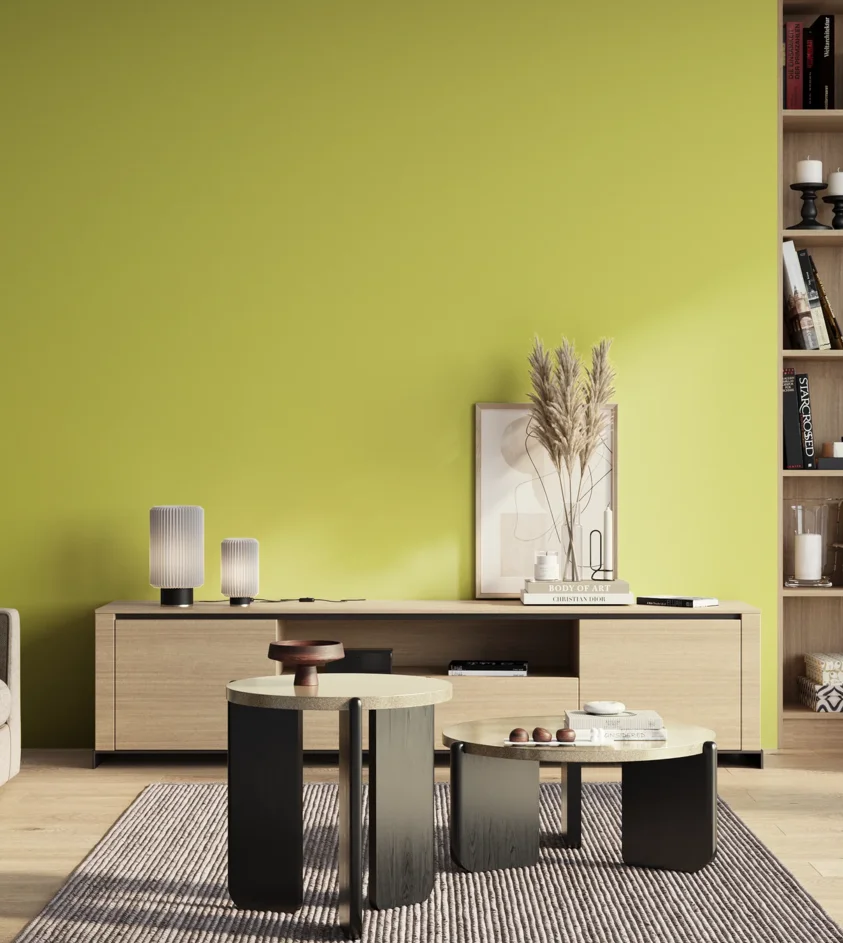 P10_SNIEZKA_salon_01_poranek_GREY_S0550-G70Y