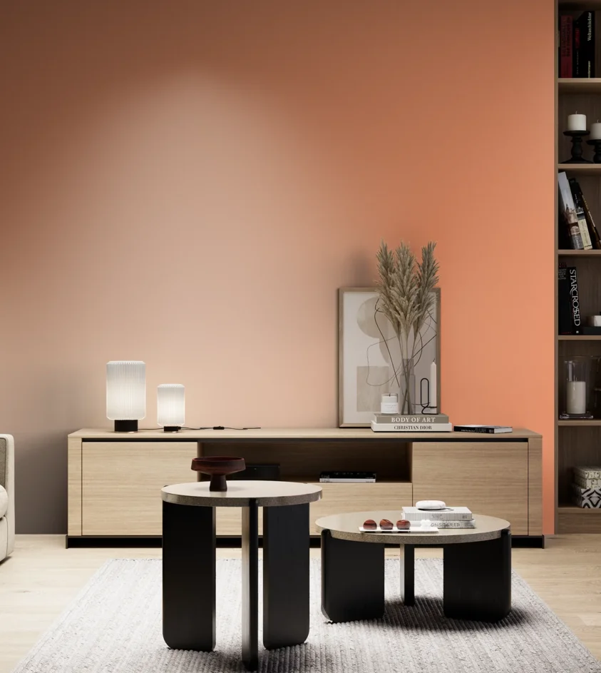 P10_SNIEZKA_salon_05_zimne_GREY_S0550-Y60R
