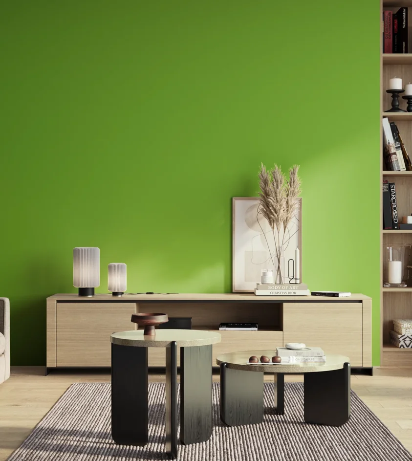 P10_SNIEZKA_salon_01_poranek_GREY_S0580-G30Y