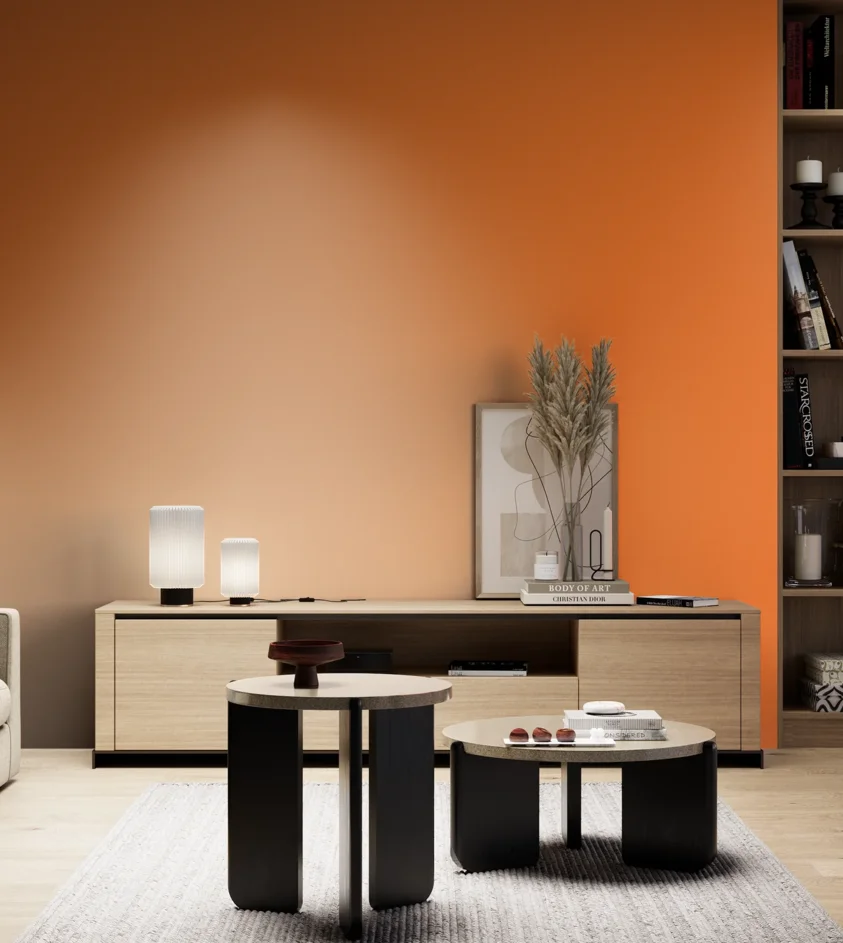 P10_SNIEZKA_salon_05_zimne_GREY_S0580-Y50R