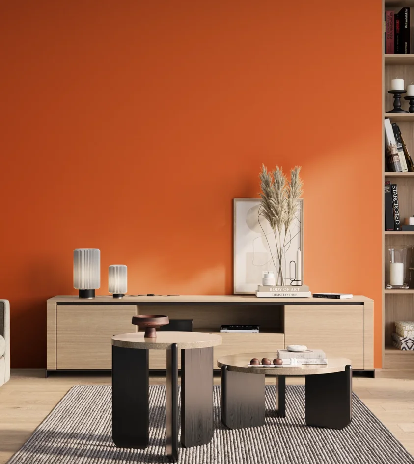 P10_SNIEZKA_salon_01_poranek_GREY_S0585-Y60R