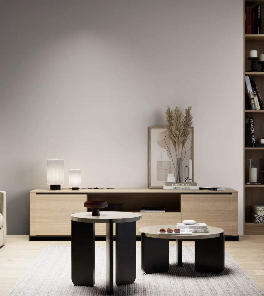 P10_SNIEZKA_salon_05_zimne_GREY_S1005-R10B