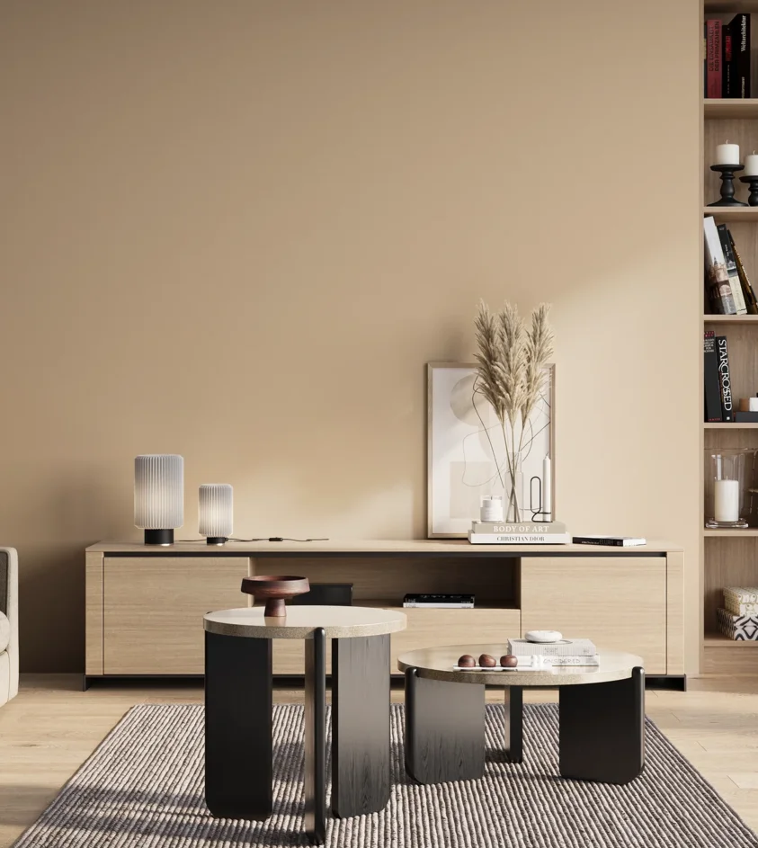 P10_SNIEZKA_salon_01_poranek_GREY_S1010-Y40R