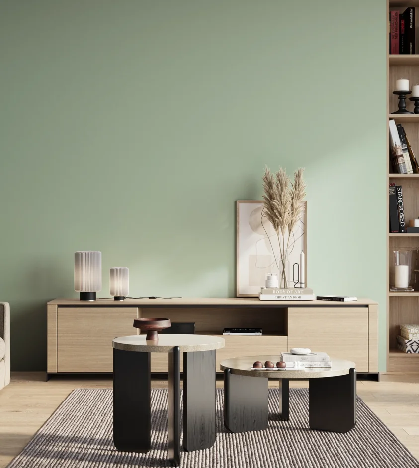 P10_SNIEZKA_salon_01_poranek_GREY_S1015-G
