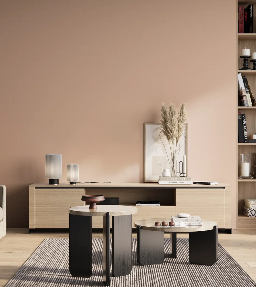 P10_SNIEZKA_salon_01_poranek_GREY_S1015-Y70R