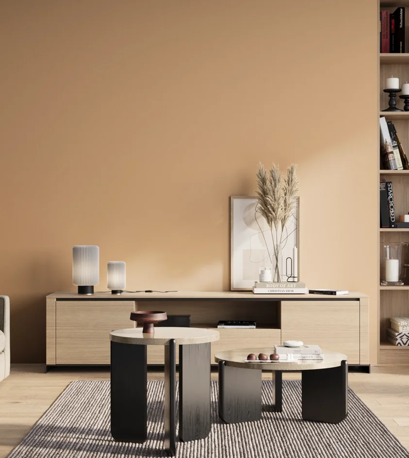 P10_SNIEZKA_salon_01_poranek_GREY_S1020-Y40R