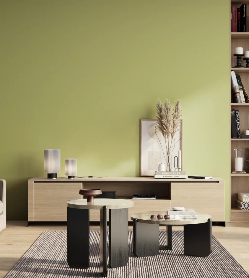 P10_SNIEZKA_salon_01_poranek_GREY_S1030-G60Y