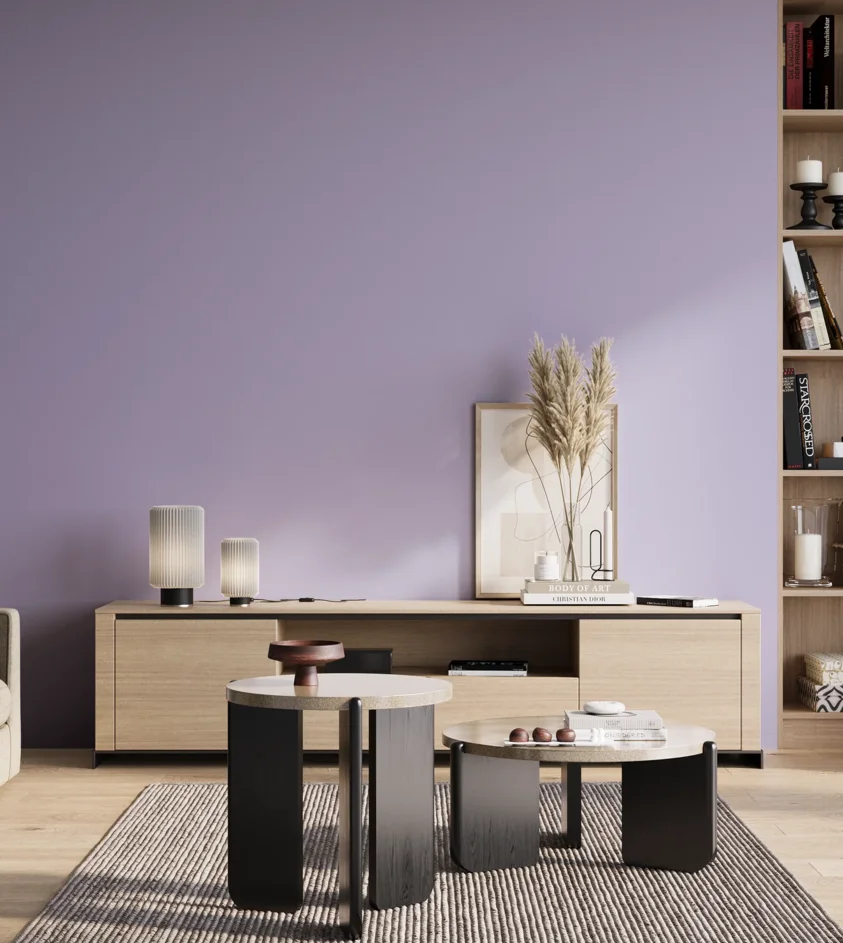 P10_SNIEZKA_salon_01_poranek_GREY_S1030-R60B